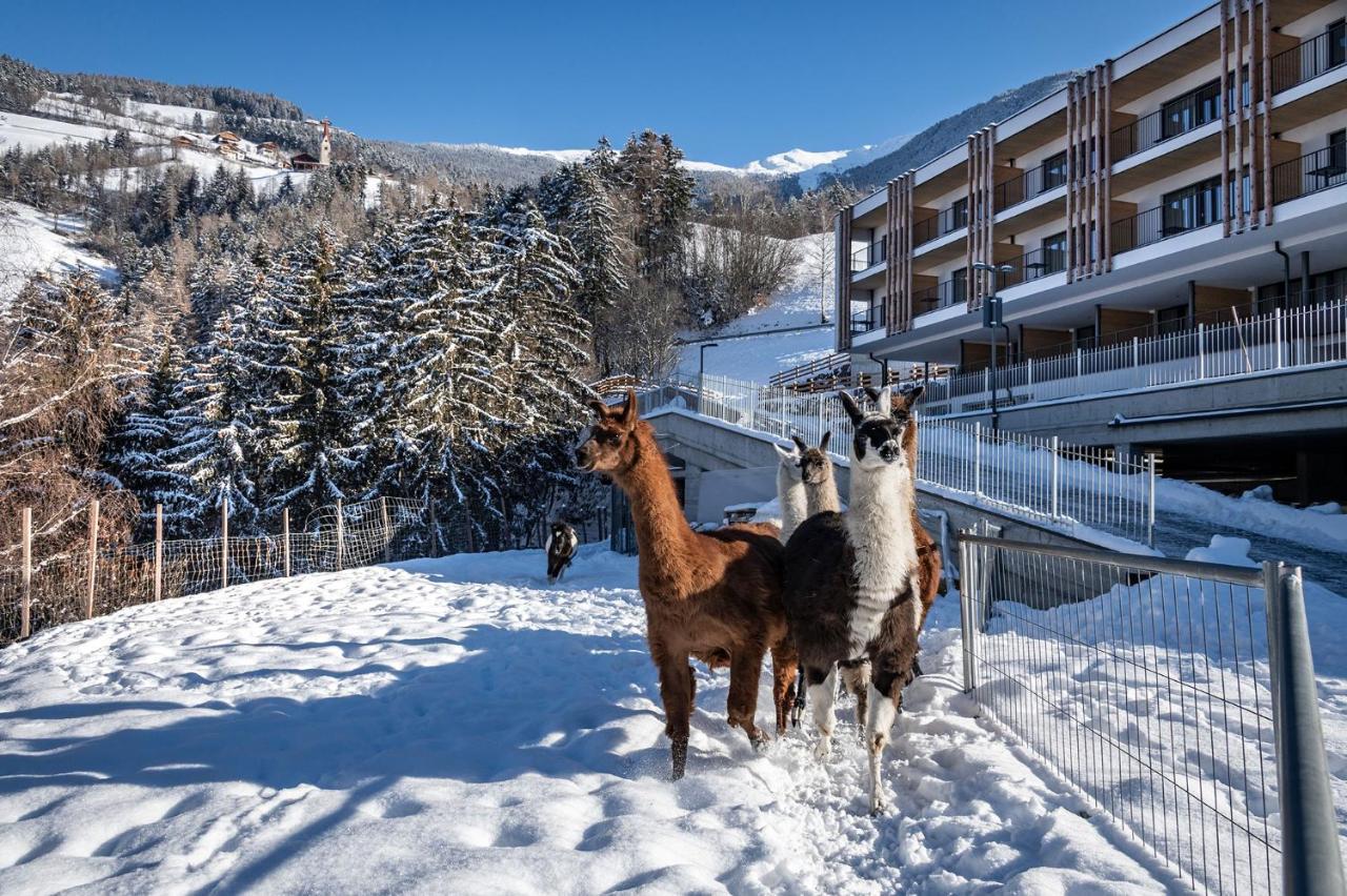 ברסאנונה Hotel Torgglerhof מראה חיצוני תמונה